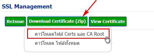 ???? วิธีแปลงไฟล์ Ssl Certificate To Pfx สำหรับใช้ติดตั้งกับ Windows Server  (กรณีที่ไม่ได้ใช้ Csr Code จาก Iis)