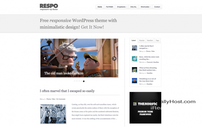 Respo WordPress theme